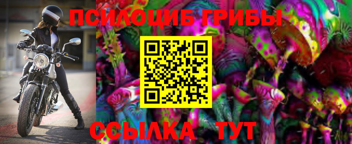 что такое наркотик  Вход с VPN  Псилоцибиновые грибы мицелий  Нижний Тагил  Галлюциногенные грибы Cubensis 